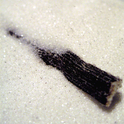Home made vanilla sugar with vanilla pod